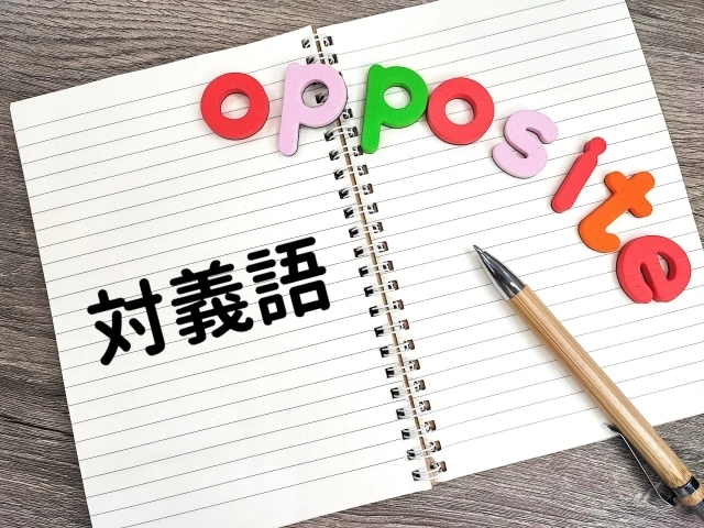 国語授業エキスパート指導